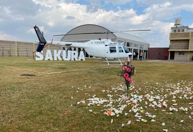 Evento especial en Sakura Metepec