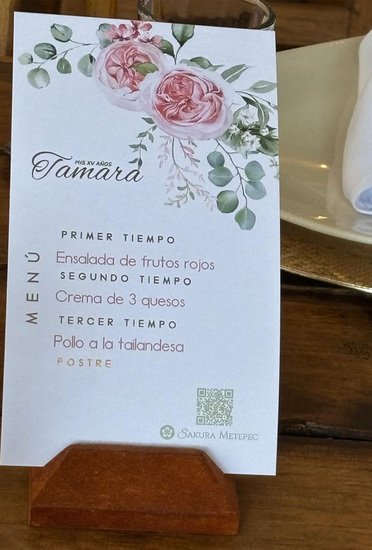 Fiesta de XV años en Sakura Metepec