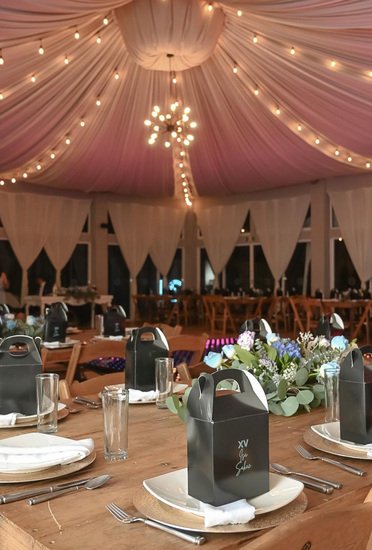 Fiesta de XV años en Sakura Metepec
